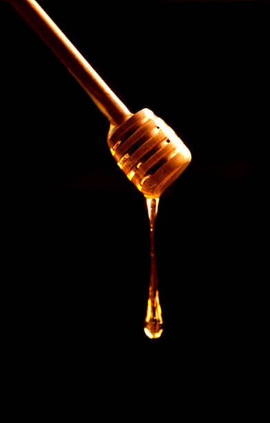 istock Honey stick with flowing  over dark background close up 490549906