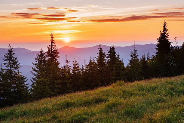 istock Beautiful sunset in the Carpathian Mountains Ukraine. 490551376