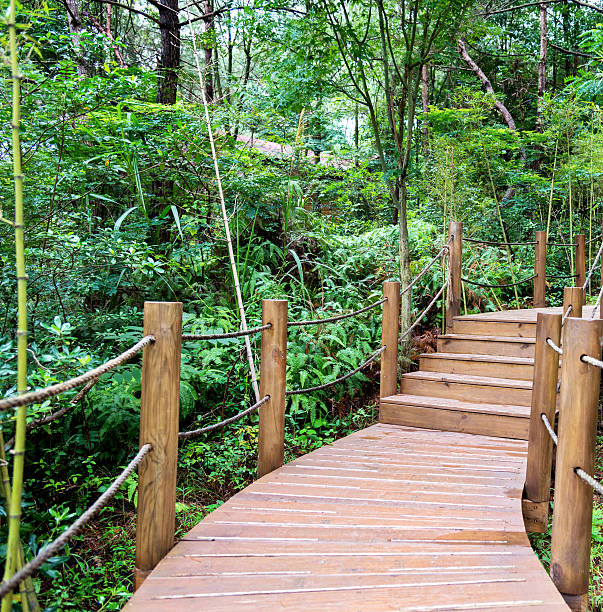 istock Wooden stairs 490552064