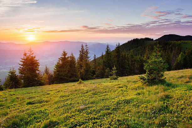 istock Beautiful sunset in the Carpathian Mountains Ukraine. 490552108