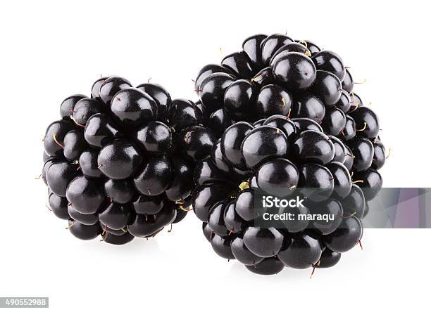 Photo libre de droit de Mûre Noire banque d'images et plus d'images libres de droit de Framboise noire - Framboise noire, Mûre noire, Fond blanc