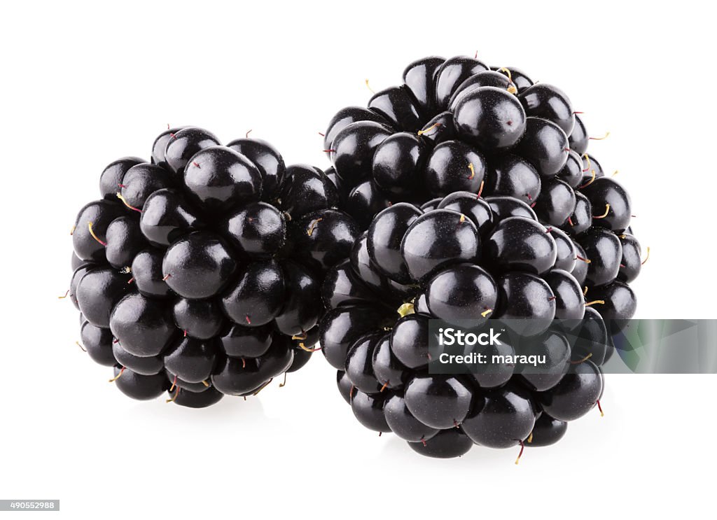 Blackberry - Foto de stock de Framboesa Negra royalty-free