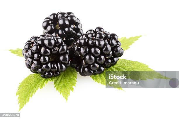 Blackberry Foto de stock y más banco de imágenes de 2015 - 2015, Alimento, Antioxidante