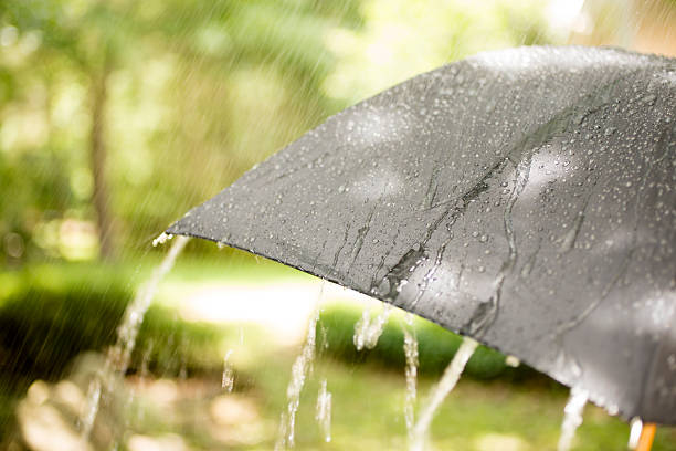 istock Rainy day. Raindrops falling on black umbrella outdoors. Spring, summer. 490553472