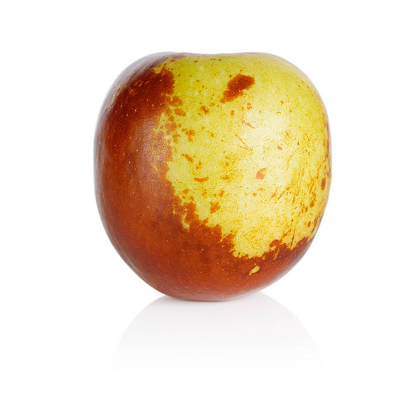 istock Chinese jujube on white 490553640