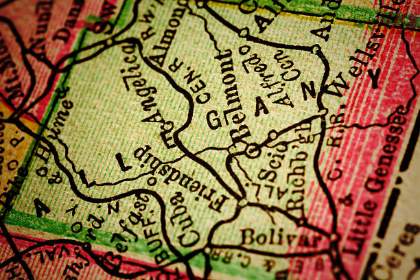 istock Allegany | New York County Maps 490557344