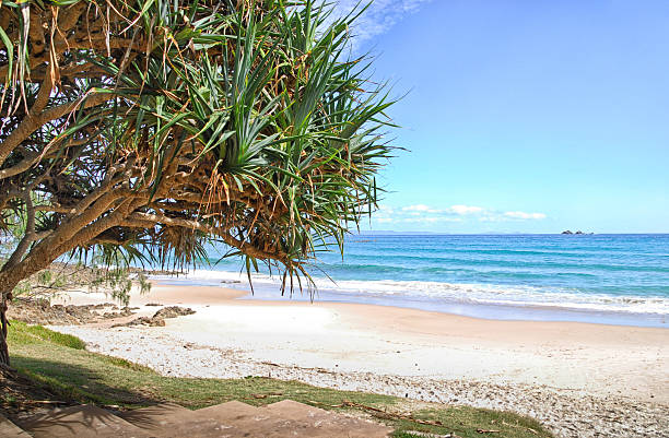 istock Watergoes Beach in Byron Bay in Australia 490557367