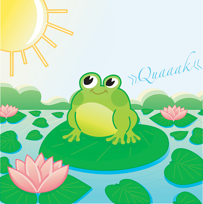 cute Frog on a lake with Searoses (sunshine).