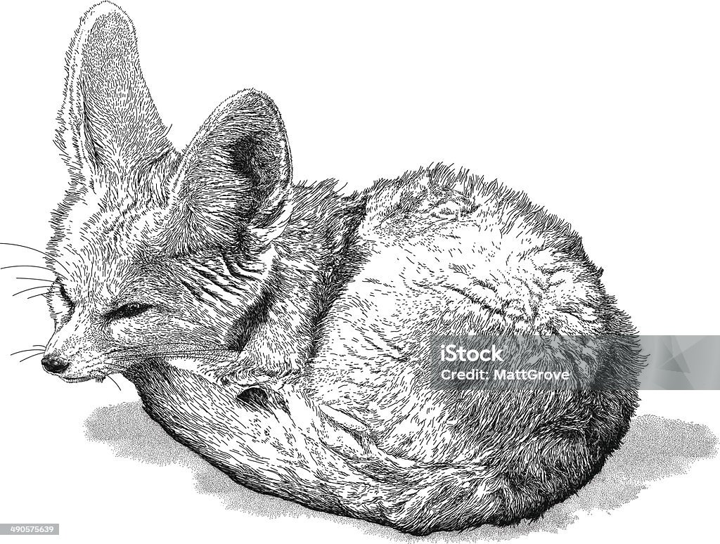 Long-eared Fox Fox vector illustration. Additional EPS file contains the same image with lines in stroke form, allowing you to convert to a brush of your choosing. Colors are layered and grouped separately. Easily editable. Fox stock vector