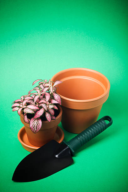 istock Garden Trowel and Flower Pot 490576299