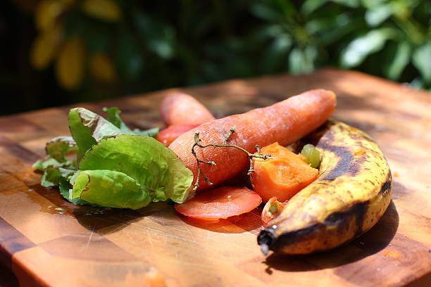 scraps owoców i warzyw - garbage food compost unpleasant smell zdjęcia i obrazy z banku zdjęć