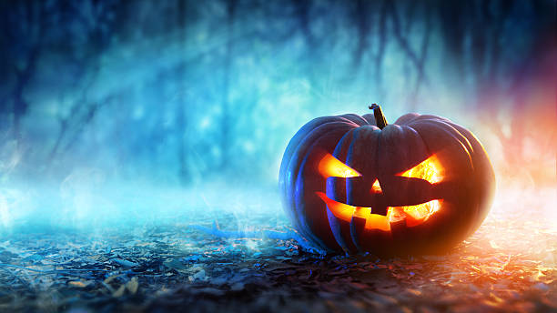 abóbora de halloween em uma floresta mística à noite - lanterna de halloween - fotografias e filmes do acervo