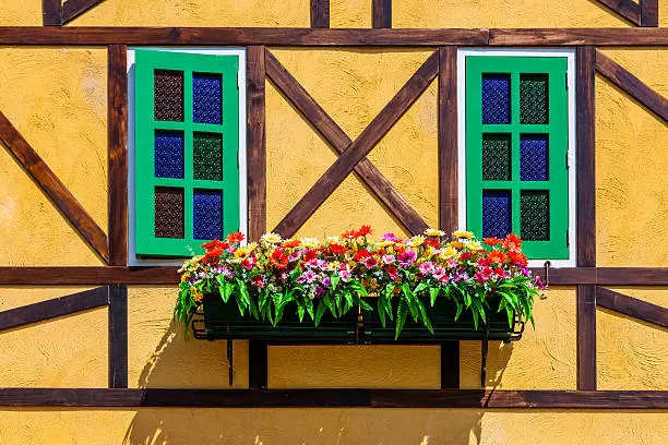windows and flowerbox