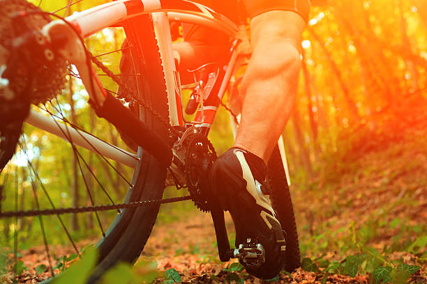 istock Mountain Bike cyclist riding outdoor 490579252