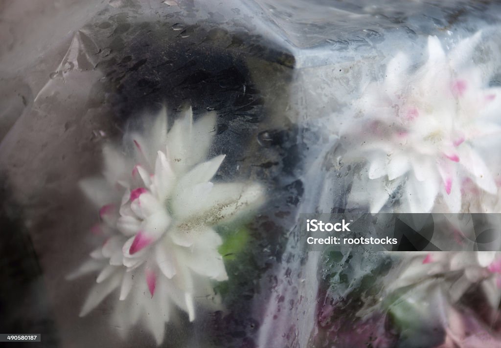 Artificial flowers thrown away in polyethylene Old artificial flowers thrown away in polyethylene in the rain. Artificial Stock Photo