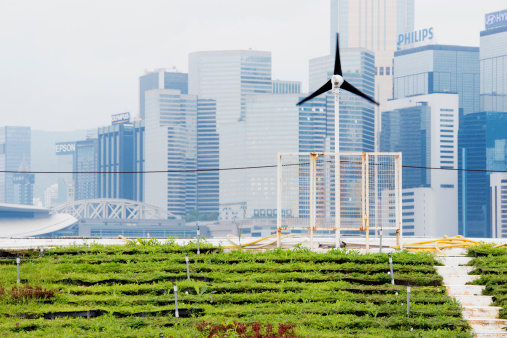 This is a horizontal, color photograph of an urban farm in Central Hong Kong. Rows of green vegetables fill the foreground. A small wind turbine stands in front of the city skyline.
