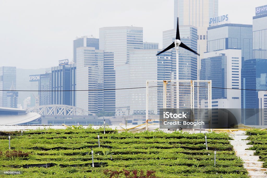Renewable Energy Green Urban Farming in Hong Kong China This is a horizontal, color photograph of an urban farm in Central Hong Kong. Rows of green vegetables fill the foreground. A small wind turbine stands in front of the city skyline. City Stock Photo