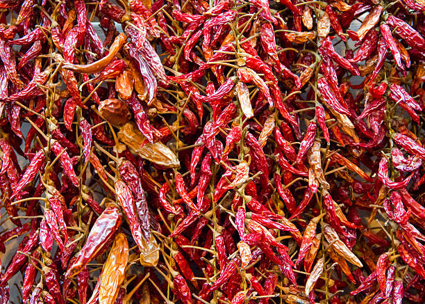 istock Bundle of dried red hot pepper 490580915