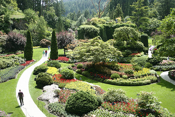 la pluma en buchart vista al jardín, victoria, columbia británica. - buchart gardens fotografías e imágenes de stock