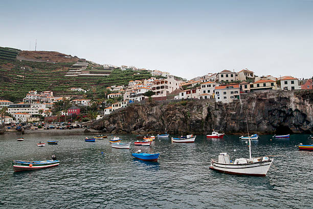 Câmara de Lobos Madeira Island Chamber of the wolves is a municipality, parish and city in the south-central coast of the island of Madeira. Technically a suburb of the much larger capital city of Funchal, it is one of the larger population centres and an extension of the Funchal economy. malerisch stock pictures, royalty-free photos & images