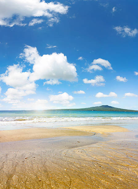 Dunedin beach beautiful views and landscapes South Island New Zealand
