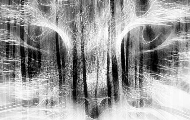 istock black and white double exposured cat portrait 490584930