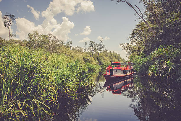 istock Passenger boat in Indonesia 490586786