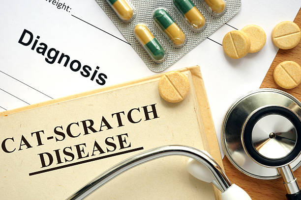 istock Word  Cat-scratch disease on a paper 490587198