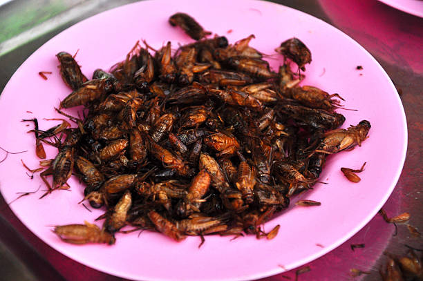 istock fried bugs for dessert locust cockroach insects  in open market 490607612