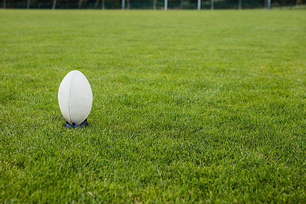 istock Rugby ball on the pitch 490607872