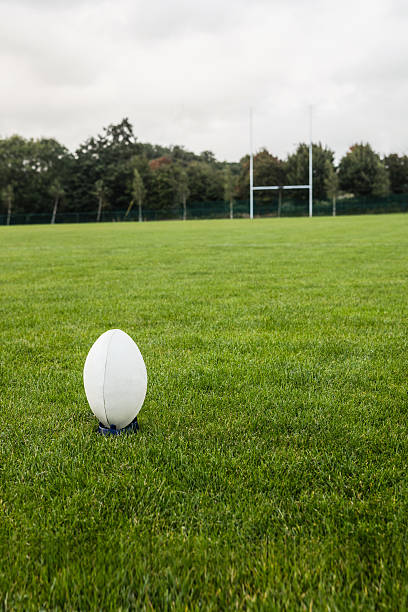 istock Rugby ball on the pitch 490607926