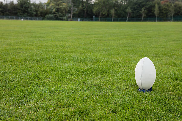 istock Rugby ball on the pitch 490607996