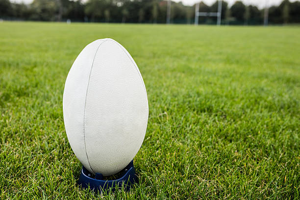 istock Rugby ball on the pitch 490608042