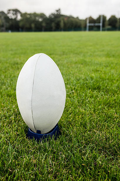 istock Rugby ball on the pitch 490608096
