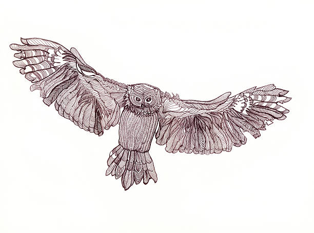 istock Graphic illustration of flying owl. Black and white style. 490608642
