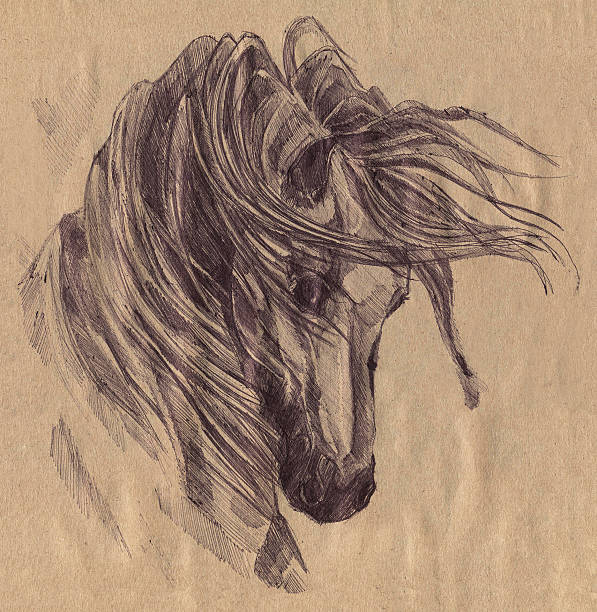 ilustrações, clipart, desenhos animados e ícones de black horse. gráficos - pencil symbol close up vertical