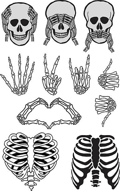 Halloween skull set, vector Halloween skull set, three wise skulls, see, hear, speak no evil, hand signs, vector design elements rib cage stock illustrations