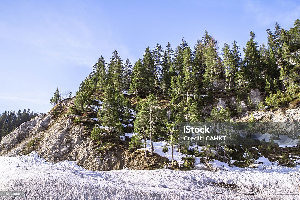 Alpine landscape Alps and alpine forest Aiguille de Midi Stock Photo