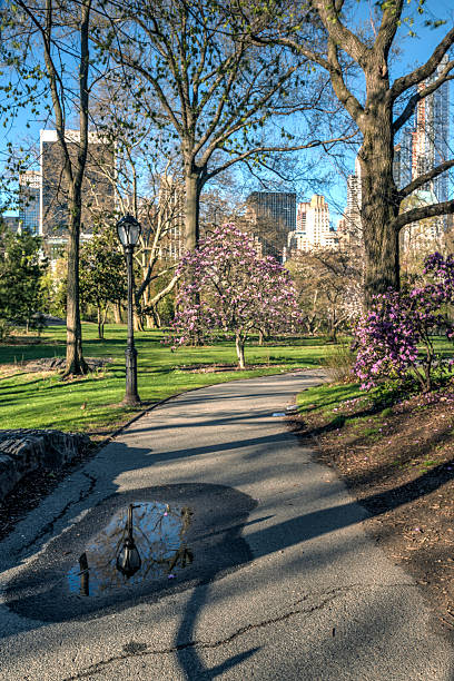 istock Central Park, New York City 490610363