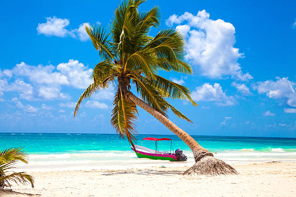 Vacations and tourism concept: Caribbean Paradise. Palm tree and boat on tropical beach playa del carmen stock pictures, royalty-free photos & images