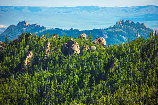 rochers dans la forêt. - forest aerial view taiga treetop photos et images de collection