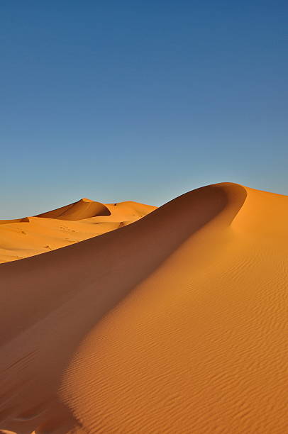 istock Merzouga desert in Morocco 490612039