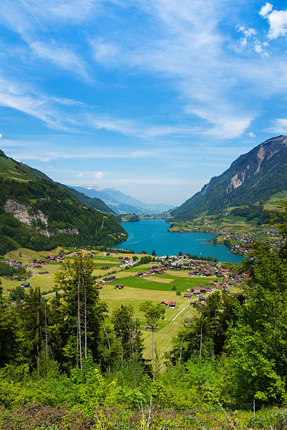 istock Landscape view near Alps in Grindelwald 490612419
