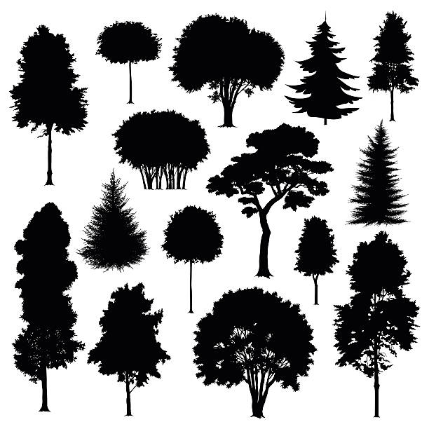 illustrazioni stock, clip art, cartoni animati e icone di tendenza di alberi - tree single object remote landscape