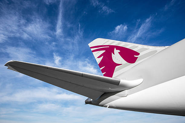 qatar airways боинг 787-8 dreamliner - boeing 787 air vehicle airplane стоковые фото и изображения