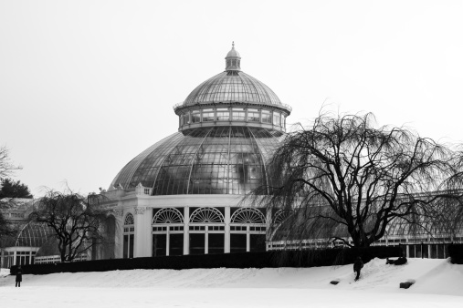 Green house at the New York Botanical garden in winter covered in snow, New York city