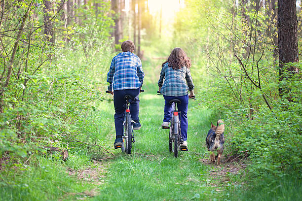 istock Young couple ride bicycles in the forest 490615819
