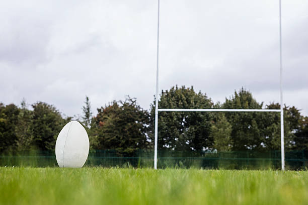 istock Rugby ball on the pitch 490617378