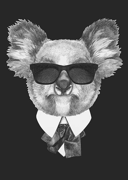 портрет коала медведь в костюме. - koala animal love cute stock illustrations