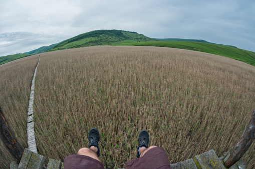 self portrait of traveller sitting in wooden observatory above a plain of reed